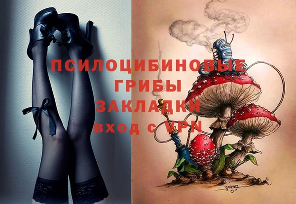 героин Вяземский