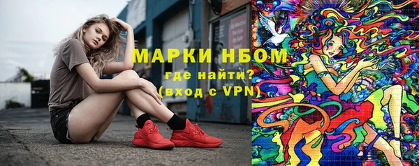 дживик Вязьма