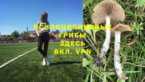 героин Вяземский