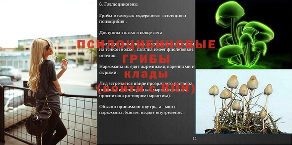 героин Вяземский