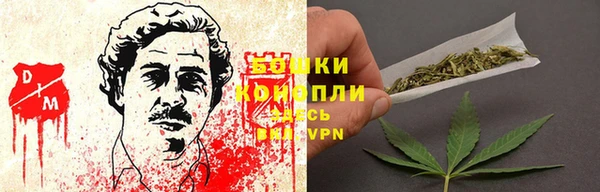 ГАЛЛЮЦИНОГЕННЫЕ ГРИБЫ Сосновый Бор