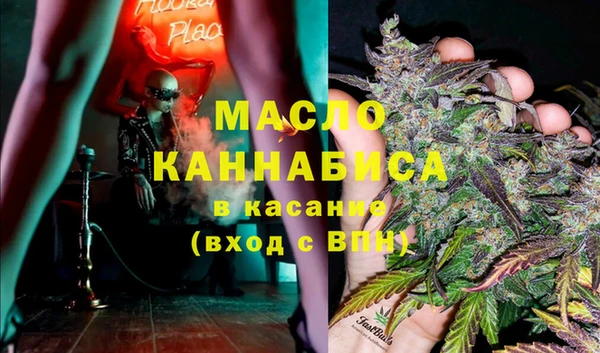 шишки Каменка